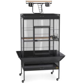 Large Select Wrought Iron Play Top Bird Cage (Option: Black)